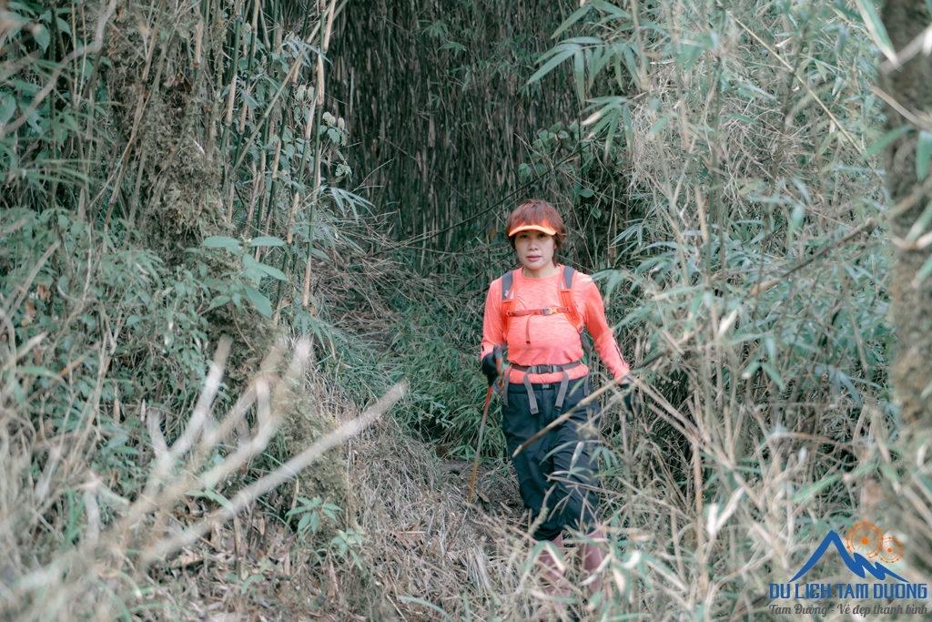 CHINH PHỤC ĐỈNH ĐỖ QUYÊN