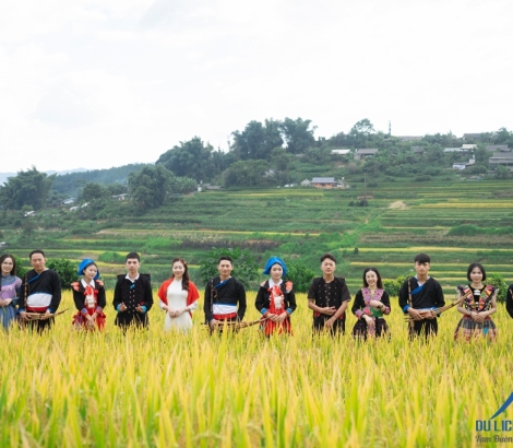 Mùa vàng Tả Lèng