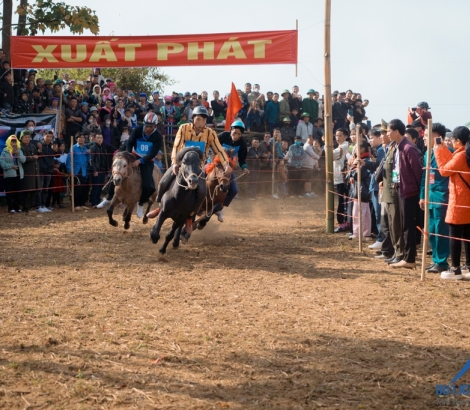 Ngày hội vó ngựa trên non cao Pu Ta Leng
