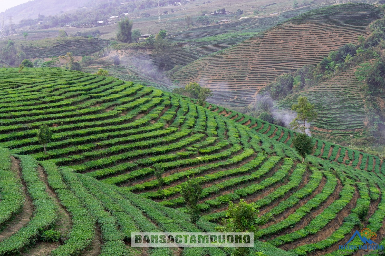 ĐỒI CHÈ BẢN BO NHỮNG NGÀY ĐẦU THÁNG "TƯ"