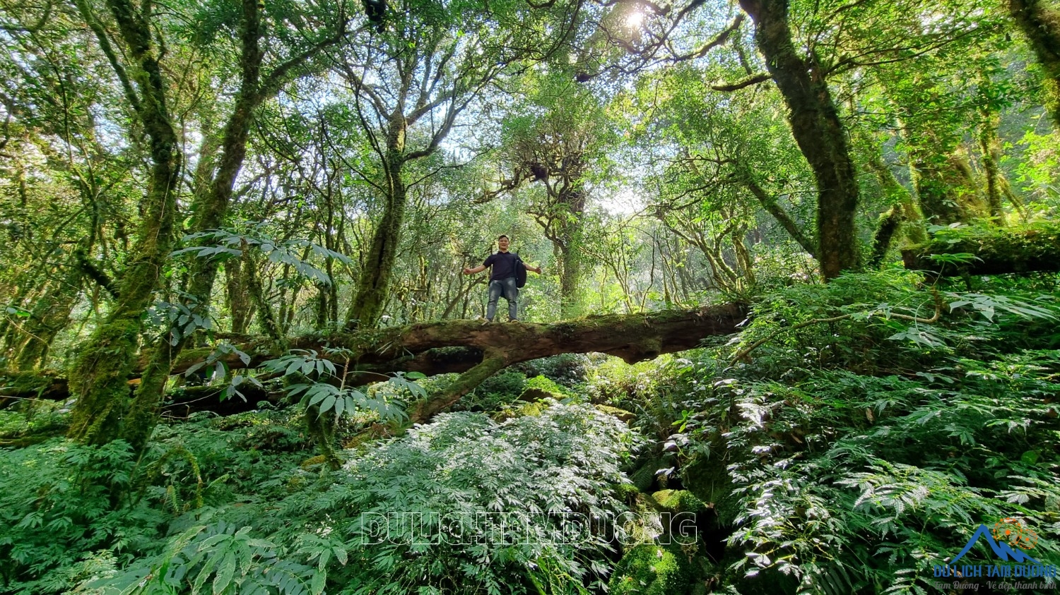 ĐƯỜNG LÊN ĐỈNH PUTALENG (3.049m)