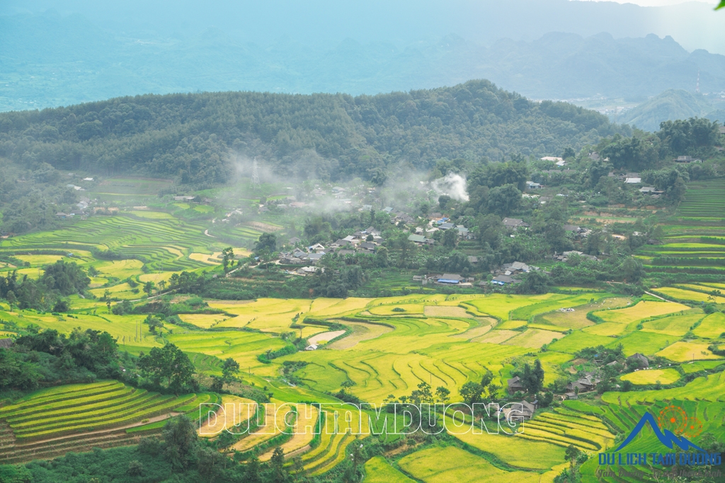 MÙA VÀNG TẢ LÈNG