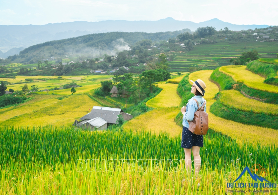 MÙA VÀNG TẢ LÈNG