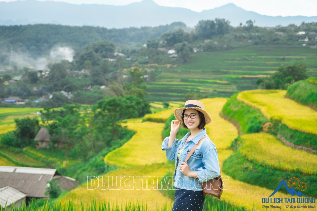 MÙA VÀNG TẢ LÈNG