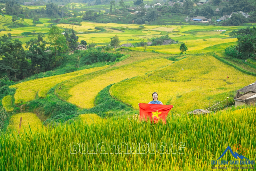 MÙA VÀNG TẢ LÈNG