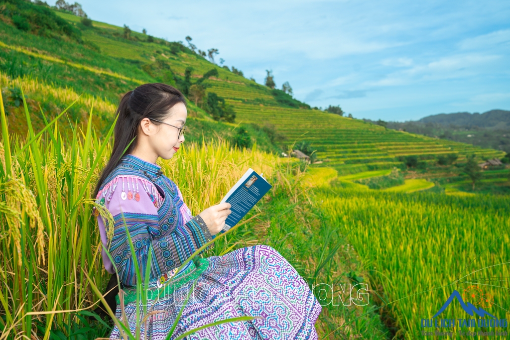 MÙA VÀNG TẢ LÈNG