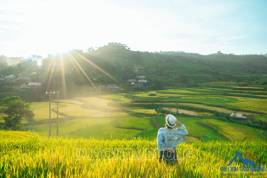 MÙA VÀNG TẢ LÈNG