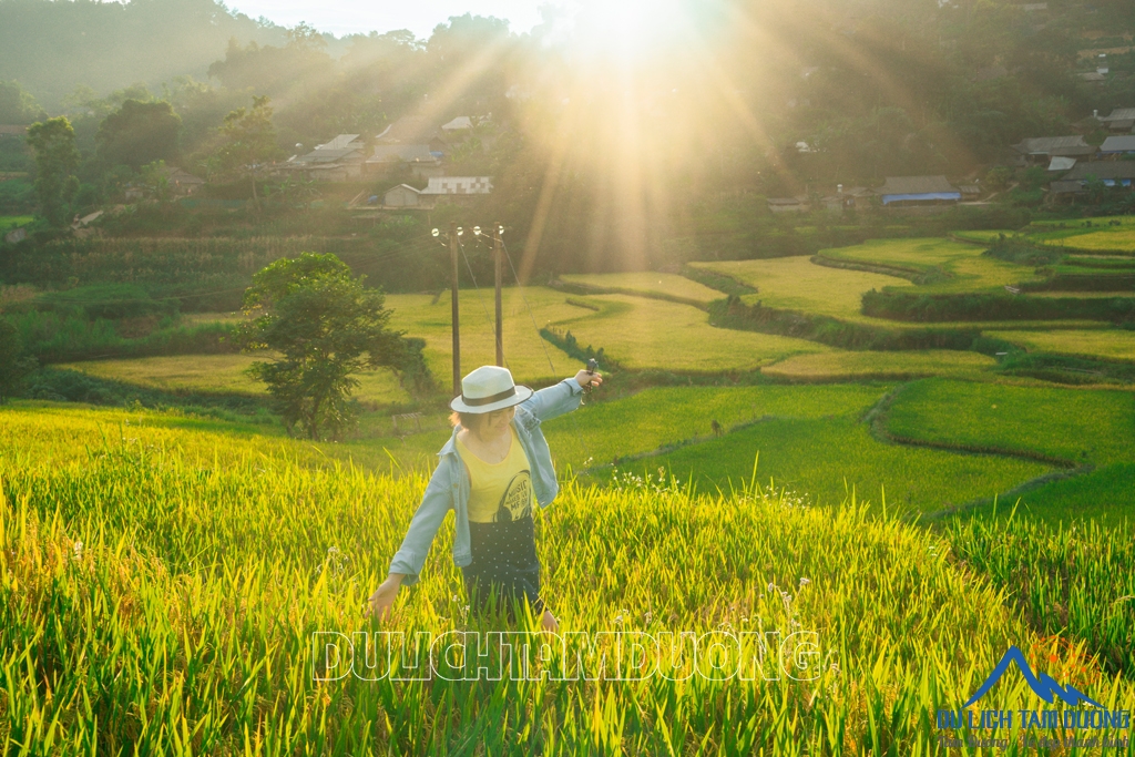 MÙA VÀNG TẢ LÈNG