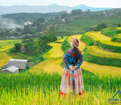 MÙA VÀNG TẢ LÈNG